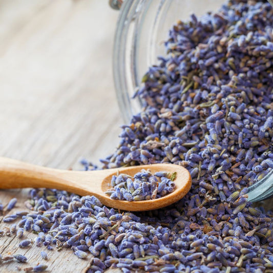 The Soothing Power of Lavender for Mental Health